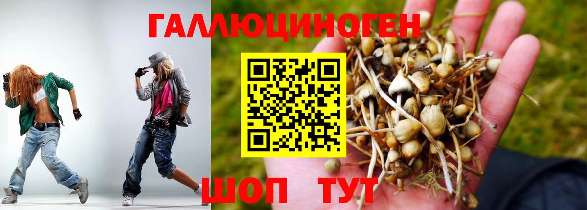 хочу   Галлюциногенные грибы мухоморы  Вход с VPN  Заинск 